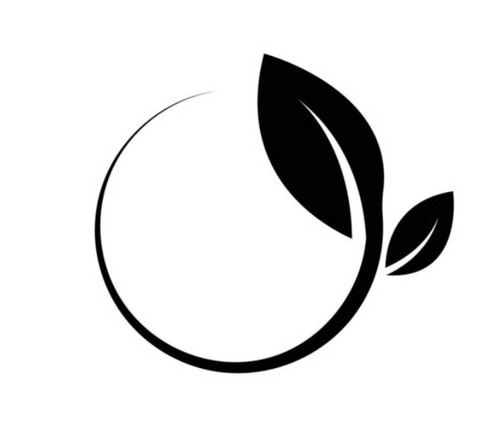 Modern & Minimalist